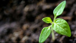 ¡Alerta! Chile alcanzó su sobregiro ecológico de 2025 ¡Alerta! Chile alcanzó su sobregiro ecológico de 2025