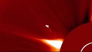 'Pájaro de fuego' más grande que la Tierra: La 'hermosa y algo misteriosa' imagen captada cerca del Sol 'Pájaro de fuego' más grande que la Tierra: La 'hermosa y algo misteriosa' imagen captada cerca del Sol