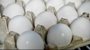 ¿Por qué subirán los huevos en los próximos meses? ¿Por qué subirán los huevos en los próximos meses?