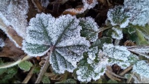 Se viene 'una alta presión migratoria fría': Temperaturas caerán bajo 0°C en todas estas regiones