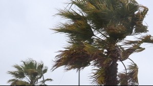 Viento de hasta 90 km/h: Alerta en todas estas comunas por evento que durará varios días