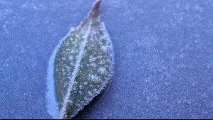 'Vienen las heladas': Jaime Leyton pronostica frío para la zona central a partir de este día