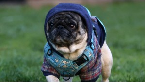 Así se viene el fin de semana para Rancagua, Talca y Chillán: Este será el día más frío