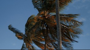 Hasta el fin de semana se extenderá el viento moderado en estas dos regiones: Revisa las comunas afectadas