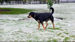 El invierno se adelanta este 2025: Este día y a esta hora será el solsticio en Chile según el SHOA