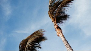 'Esta semana habrá un cambio importante en el tiempo': Meteorología estudia emitir alerta por vientos en estas regiones