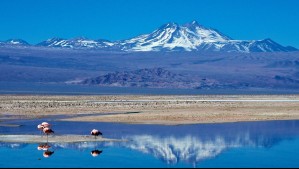 Nuevo sistema frontal dejará nieve: Este día esperan mayores precipitaciones en la cordillera de Atacama