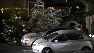 Ocho regiones bajo aviso por viento que podrían alcanzar los 80 km/h: Así serán en la Región Metropolitana