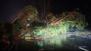 Intensas precipitaciones, fuertes vientos y desborde de ríos: Así se vivió el paso del sistema frontal en la zona sur