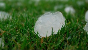 Impactante tormenta de granizo 'bien chiquitito' en Casablanca: Alejandro Sepúlveda explica este fenómeno Impactante tormenta de granizo 'bien chiquitito' en Casablanca: Alejandro Sepúlveda explica este fenómeno
