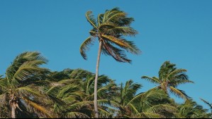 Hasta tormentas de arena en la costa del Norte Chico: Las rachas de viento alcanzarían los 50 km/h en estas localidades