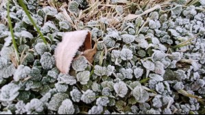 Hasta -15°C: En todas estas localidades esperan heladas durante estos últimos días de junio Hasta -15°C: En todas estas localidades esperan heladas durante estos últimos días de junio