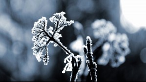 Temperaturas bajo cero grados: Masa de aire fría impactará estas seis regiones durante jueves y viernes