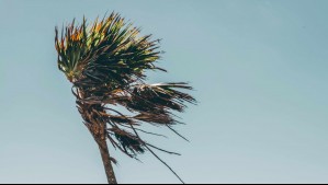 Sistema frontal provocará vientos moderados en estas 5 regiones: Pronostican rachas de hasta 70 km/h