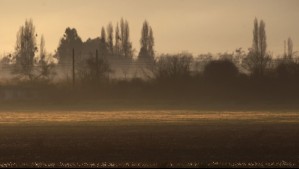 Heladas de hasta -4°C se registrarán en estas regiones los próximos días: Pronóstico oficial