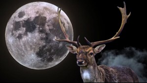 Luna Llena de julio 2025: Desde este día podrá ver la Luna de Ciervo en su máximo esplendor
