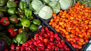 Ministerio de Agricultura inicia implementación del programa 'Chile Alimenta el Futuro' Ministerio de Agricultura inicia implementación del programa 'Chile Alimenta el Futuro'