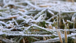 Estos serán los días más fríos en la región de Valparaíso: Se vienen heladas en estas localidades