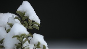 Regresa la nieve y temperaturas bajo 0°C a esta zona del país: 'Es lo que deberíamos tener en todo este tramo'