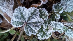 Heladas hasta casi -15°C: Estas localidades de nueve regiones esperan intensas heladas durante todos estos días