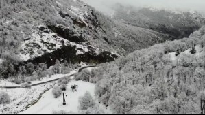 'Qué maravillosa imagen': El video de los Nevados de Chillán que muestra los majestuosos bosques en este invierno