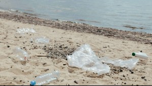 Nuevo estudio revela los niveles de contaminación en playas de Latinoamérica Nuevo estudio revela los niveles de contaminación en playas de Latinoamérica