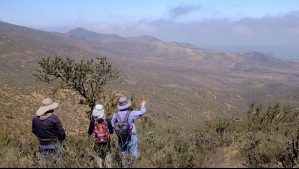 Estudian extraer agua de la camanchaca para combartir la sequía en Coquimbo: 'Debemos integrarla como una solución real'