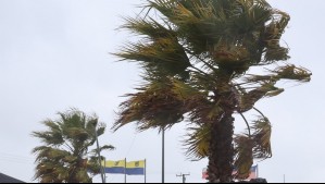 Incluye a la Región Metropolitana: Rachas de hasta 80 km/h pronostican para siete regiones durante 48 horas