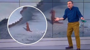 'No es gracioso': Graban a persona bailando disfrazada de dinosaurio en la superficie congelada de la Laguna del Maule