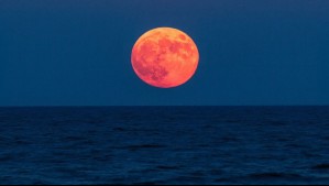 La luna llena de agosto llegará con un 'desfile planetario': Desde esta hora se podrá ver en Chile