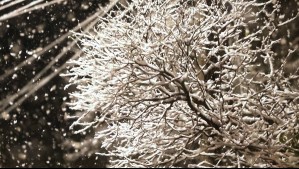 Nevada en Atacama: Emiten aviso meteorológico por impacto del frente frío en este sector Nevada en Atacama: Emiten aviso meteorológico por impacto del frente frío en este sector