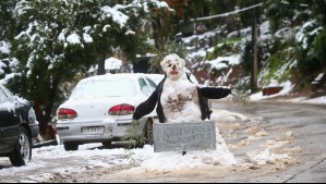 Estos sectores de Santiago tienen 'probabilidad importante de nieve' para la tarde: 'Caerá radicalmente la temperatura' Estos sectores de Santiago tienen 'probabilidad importante de nieve' para la tarde: 'Caerá radicalmente la temperatura'