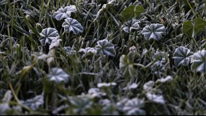 Anuncian heladas de hasta -3°C en seis regiones a partir de este jueves: Incluye a la Región Metropolitana