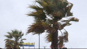 Incluye a la Región Metropolitana: Viento de hasta 110 km/h azotará a 13 regiones a partir de este domingo Incluye a la Región Metropolitana: Viento de hasta 110 km/h azotará a 13 regiones a partir de este domingo