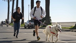 'Estará bastante agradable el fin de semana' en el litoral de la región Valparaíso: Pronóstico actualizado