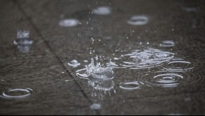 Alerta por varios días de lluvia y viento en esta región: Estos son los montos de agua que esperan Alerta por varios días de lluvia y viento en esta región: Estos son los montos de agua que esperan