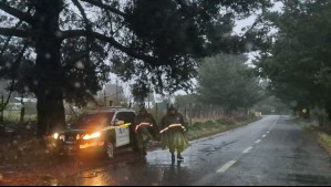 'Será más desorganizada la precipitación': Así se viene la lluvia para este viernes 19 de septiembre 'Será más desorganizada la precipitación': Así se viene la lluvia para este viernes 19 de septiembre