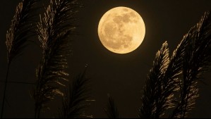 Llega una Superluna de la Cosecha especial: A esta hora exacta se verá el satélite desde Chile