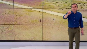 'Eso no se hace': Captan a turistas caminando sobre sectores del Desierto Florido para tomarse fotos 'Eso no se hace': Captan a turistas caminando sobre sectores del Desierto Florido para tomarse fotos