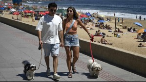 'Cambio radical' en la costa de la zona central para este fin de semana: Este 'será un espléndido día de sol' 'Cambio radical' en la costa de la zona central para este fin de semana: Este 'será un espléndido día de sol'