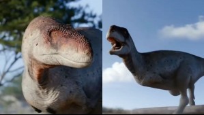 Identifican nueva especie de dinosaurio carnívoro que vivió hace 80 millones de años: Los fósiles son de Argentina Identifican nueva especie de dinosaurio carnívoro que vivió hace 80 millones de años: Los fósiles son de Argentina
