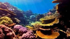 La Tierra alcanzó su primer 'punto de inflexión' climático que 'causará daños catastróficos': Afectará a millones La Tierra alcanzó su primer 'punto de inflexión' climático que 'causará daños catastróficos': Afectará a millones