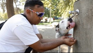 'Podrían alcanzar o superar los 35°C': Estos lugares tendrían la temperatura más alta en la RM este sábado 'Podrían alcanzar o superar los 35°C': Estos lugares tendrían la temperatura más alta en la RM este sábado