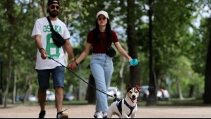Pronostican 'días veraniegos' para la próxima semana en Santiago: Habrá temperaturas 'sobre el promedio' Pronostican 'días veraniegos' para la próxima semana en Santiago: Habrá temperaturas 'sobre el promedio'