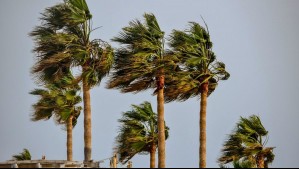 Atención en la costa centro-norte del país: Pronostican 'vientos importantes' hasta la costa de Atacama Atención en la costa centro-norte del país: Pronostican 'vientos importantes' hasta la costa de Atacama