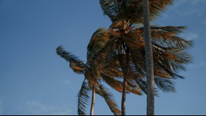 Rachas de hasta 55 km/h en Viña del Mar y Valparaíso este domingo: 'Mucha atención con el manejo del fuego'