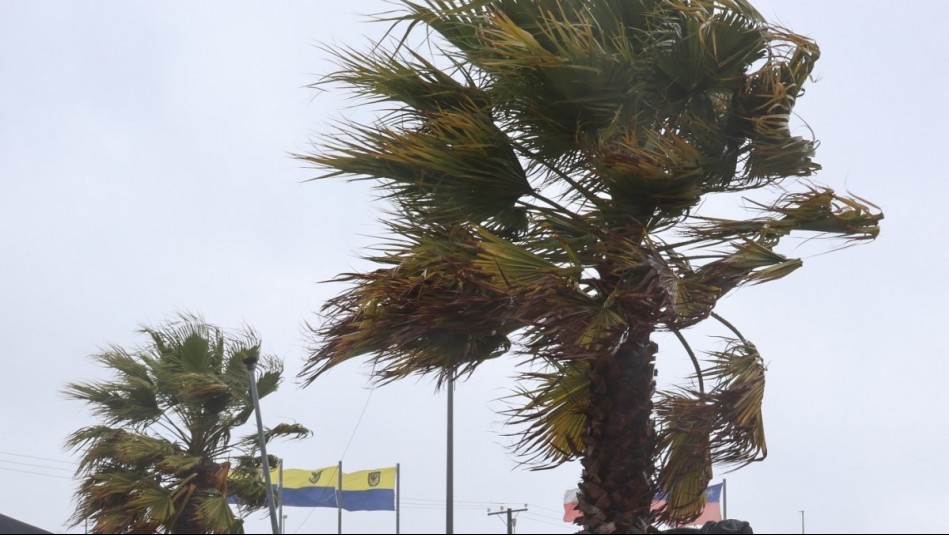 Tardes de viento predominarán esta semana en Biobío: Rachas de hasta 50 km/h anuncian para esta comuna
