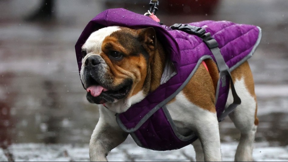 Estas comunas de Atacama tendrán precipitaciones durante este feriado: ¿Hasta qué hora se mantendrán?
