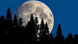 La luna llena de noviembre será la superluna más grande de 2025: ¿Cuándo se verá en el cielo?
