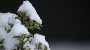 Pronostican nieve en estas regiones: En estos sectores se concentrarán las precipitaciones la tarde del jueves